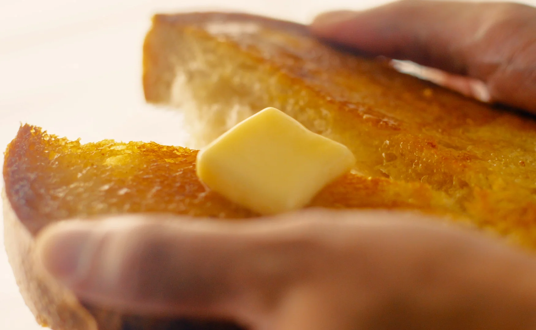 BALMUDA The Toaster Pro - The Morning Forge angle 4