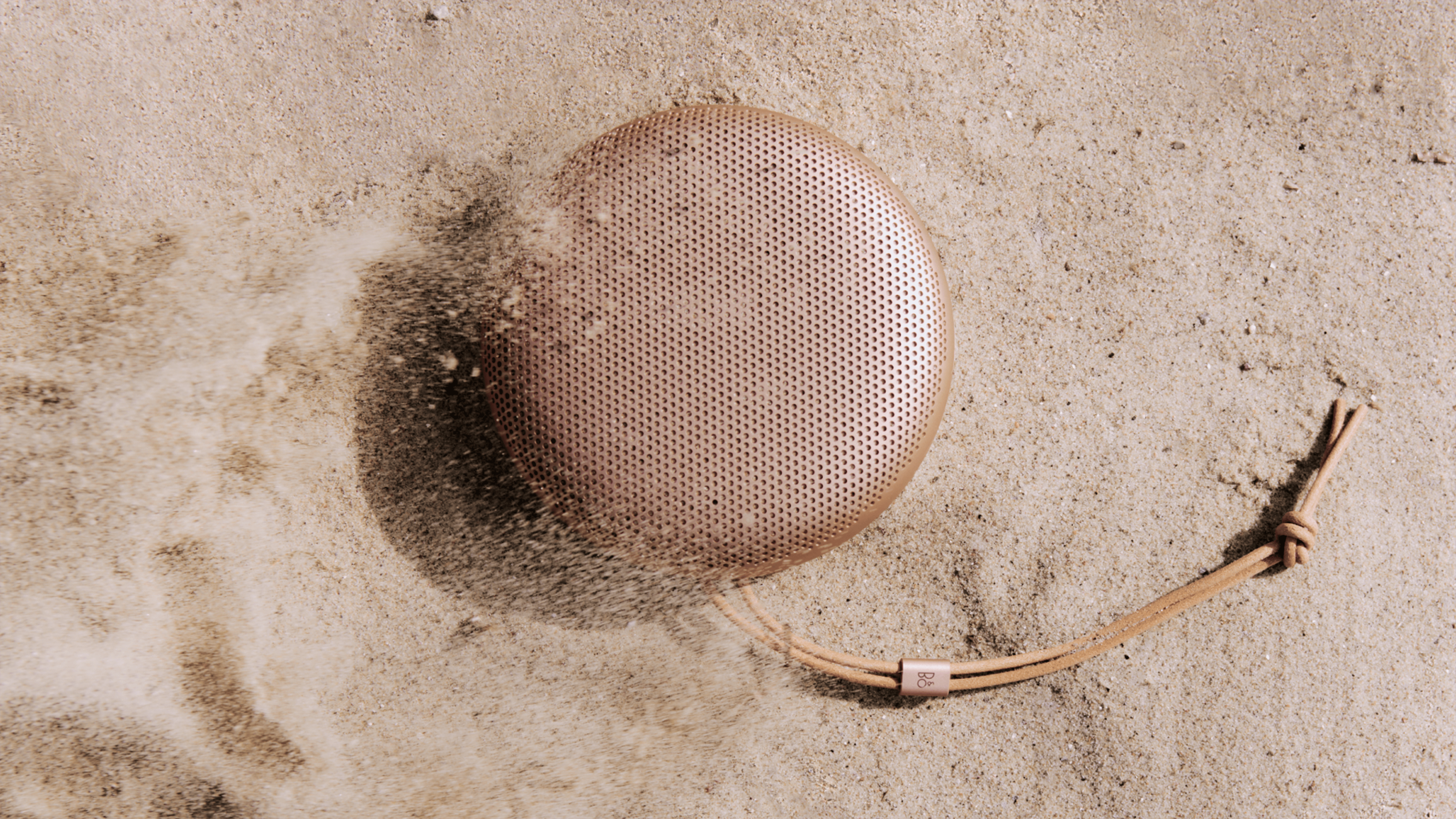 Bang & Olufsen Beosound A1 3rd Gen
