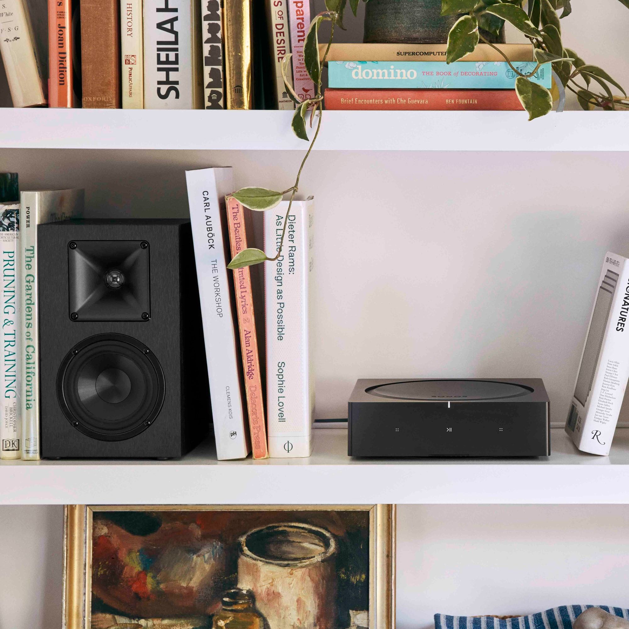 Sonos Amp gallery view 9